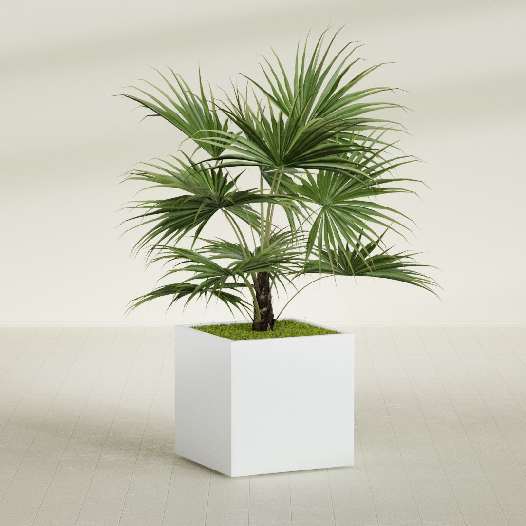 Montroy Large Cube Square Fiberglass Planter - 32 in x 32 in x 32 in - Matte White - Matte White,32 in x 32 in x 32 in