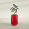 Tall Hayden Medium Round Fiberglass Planter - 12 in x 12 in x 20 in - Gloss Red - Gloss Red,12 in x 12 in x 20 in