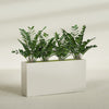 Milano Extra Large Narrow Rectangle Fiberglass Planter - 48 in x 10 in x 24 in - Satin Beige - Satin Beige,48 in x 10 in x 24 in