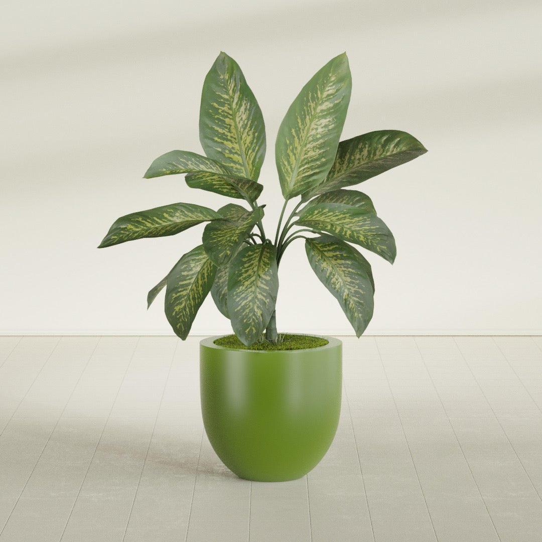 Alzira Medium Round Fiberglass Planter - 23 in x 23 in x 22 in - Satin Green - Satin Green,23 in x 23 in x 22 in