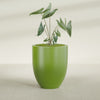 Valencia Large Round Fiberglass Planter - 27 in x 27 in x 31 in - Satin Green - Satin Green,27 in x 27 in x 31 in