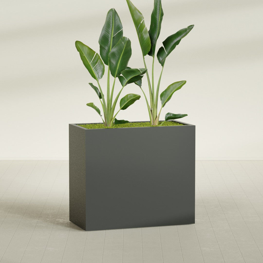 Darwin Extra Large Rectangle Fiberglass Planter - 48 in x 24 in x 42 in - Matte Charcoal - Matte Charcoal,48 in x 24 in x 42 in