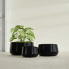 Short Hayden Small Round Fiberglass Planter - 12 in x 12 in x 7 in - Gloss Black - Gloss Black,12 in x 12 in x 7 in