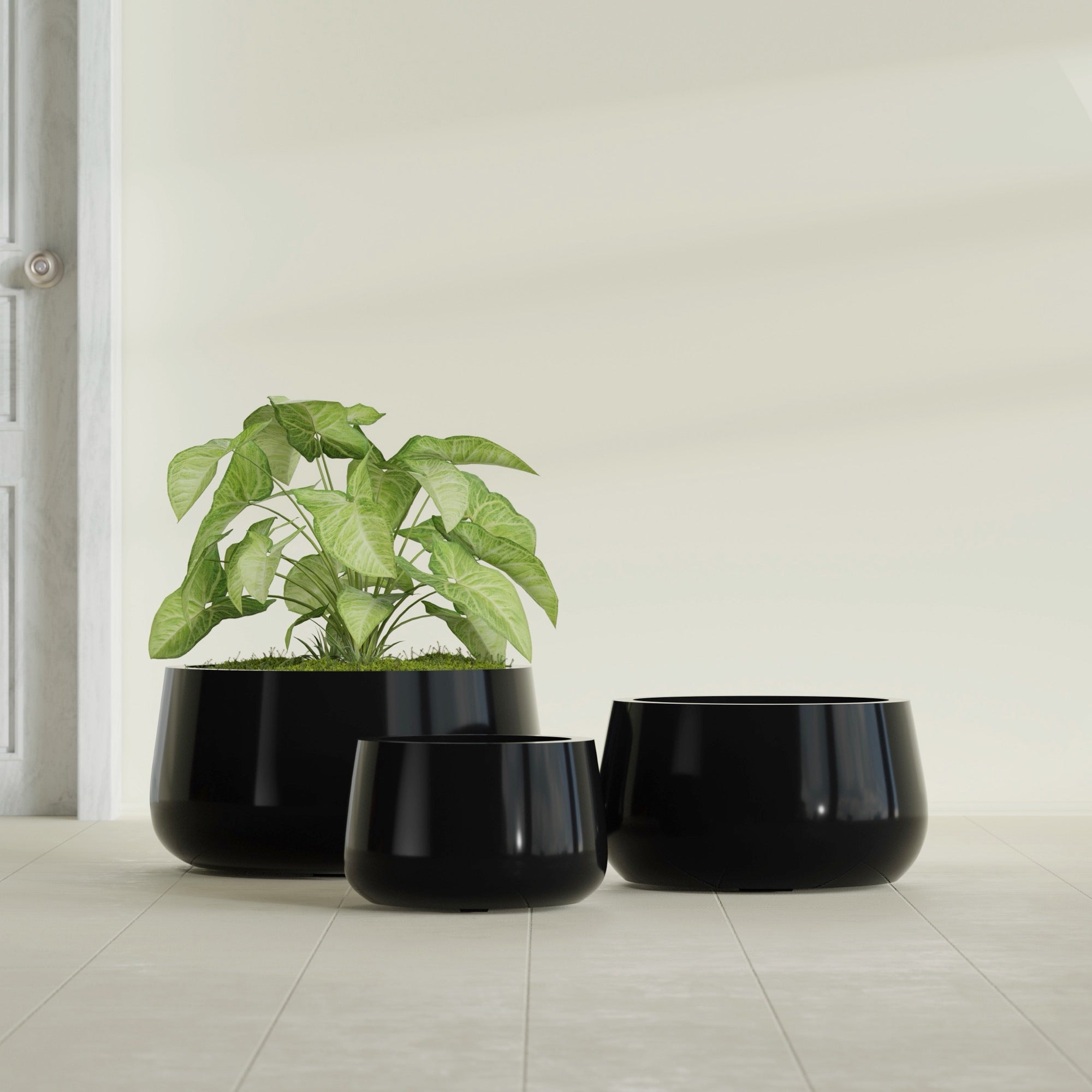 Short Hayden Small Round Fiberglass Planter - 12 in x 12 in x 7 in - Gloss Black - Gloss Black,12 in x 12 in x 7 in