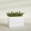 Brisbane Extra Large Long Rectangle Fiberglass Planter - 48 in x 24 in x 32 in - Matte White - Matte White,48 in x 24 in x 32 in