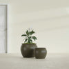 Fishbowl Small Round Fiberglass Planter - 16 in x 16 in x 14 in - Matte Bronze - Matte Bronze,16 in x 16 in x 14 in