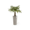 Amsterdam High Large Tall Round Planter - 19.5 in x 19.5 in x 35.5 in - Taupe - Taupe,19.5 in x 19.5 in x 35.5 in,Planter Only