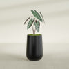 Tall Hayden Medium Round Fiberglass Planter - 12 in x 12 in x 20 in - Matte Black - Matte Black,12 in x 12 in x 20 in