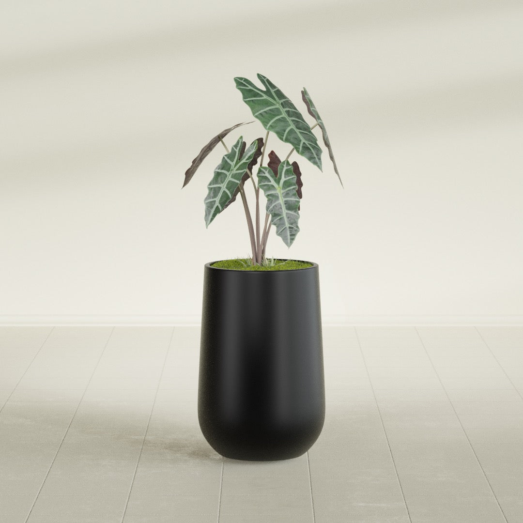 Tall Hayden Medium Round Fiberglass Planter - 12 in x 12 in x 20 in - Matte Black - Matte Black,12 in x 12 in x 20 in