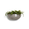 Sofia Wall Small Conical Wall Planter - 16.5 in x 10 in x 7 in - Taupe - Taupe,16.5 in x 16.5 in x 7 in