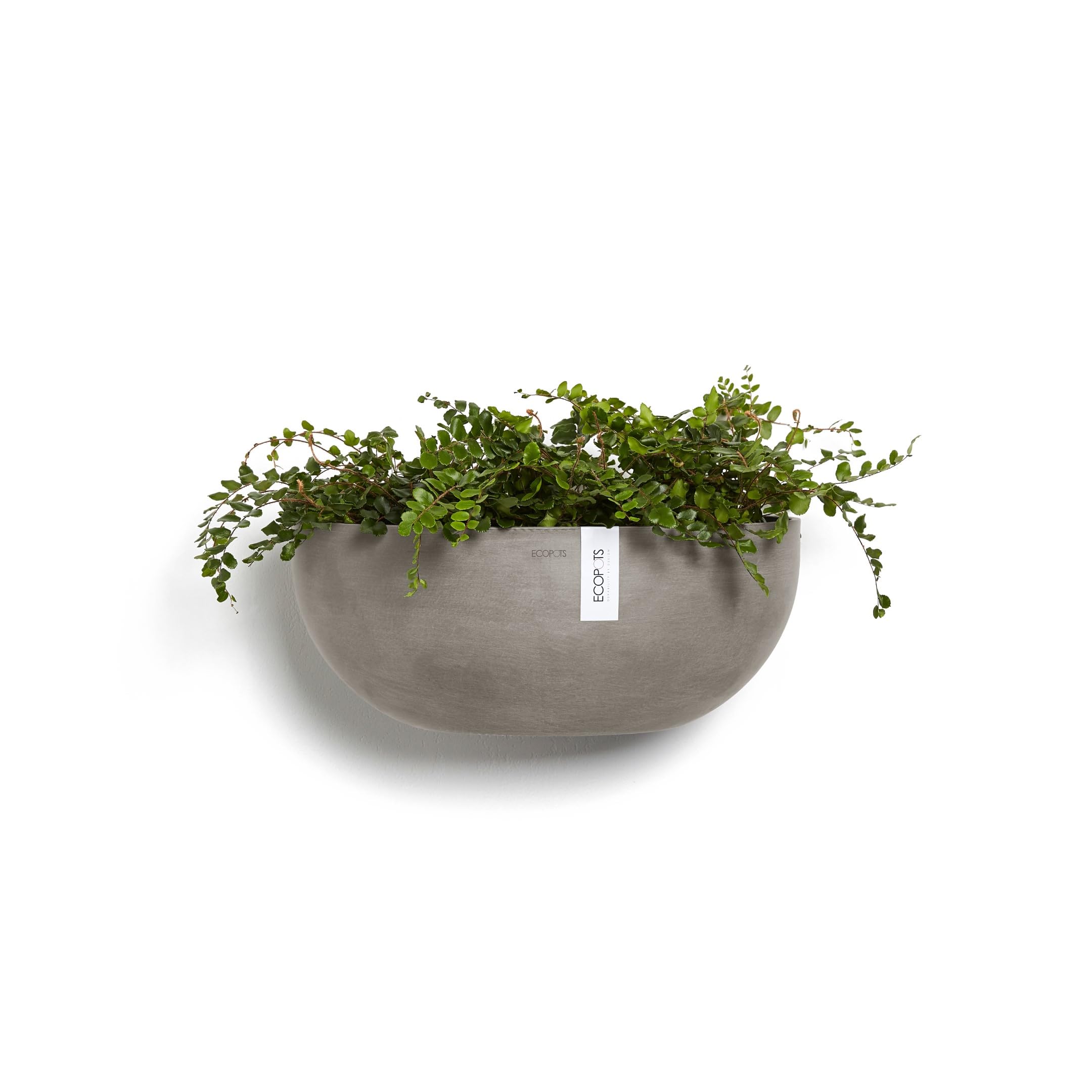Sofia Wall Small Conical Wall Planter - 16.5 in x 10 in x 7 in - Taupe - Taupe,16.5 in x 16.5 in x 7 in