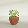 Lima Small Tapered Square Fiberglass Planter - 16 in x 16 in x 16 in - Matte Terracotta - Matte Terracotta,16 in x 16 in x 16 in