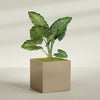 Montroy Extra Large Cube Square Fiberglass Planter - 48 in x 48 in x 48 in - Metallic Gold - Metallic Gold,48 in x 48 in x 48 in
