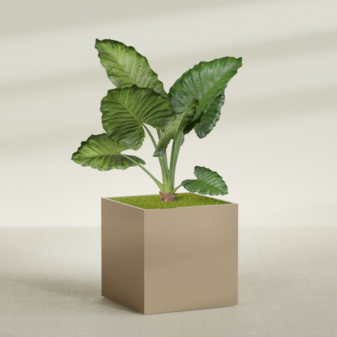 Montroy Extra Large Cube Square Fiberglass Planter - 48 in x 48 in x 48 in - Metallic Gold - Metallic Gold,48 in x 48 in x 48 in
