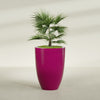 Brannan Large Round Fiberglass Planter - 30 in x 30 in x 41 in - Gloss Eggplant - Gloss Eggplant,30 in x 30 in x 41 in