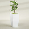 Toulan Extra Large Tall Tapered Square Fiberglass Planter - 23 in x 23 in x 48 in - Gloss White - Gloss White,23 in x 23 in x 48 in