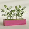 Torino Extra Large Wide Rectangle Fiberglass Planter - 72 in x 24 in x 18 in - Gloss Pink Violet - Gloss Pink Violet,72 in x 24 in x 18 in