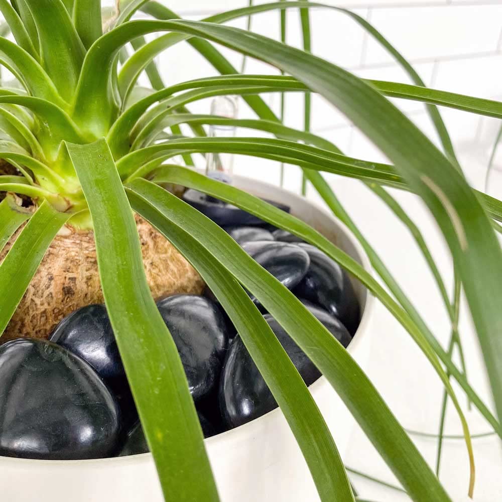 PolyPebbles - Black - Bag of Large Rocks (6.6lbs) - Black,Large Rocks,Single 6.6 lb bag