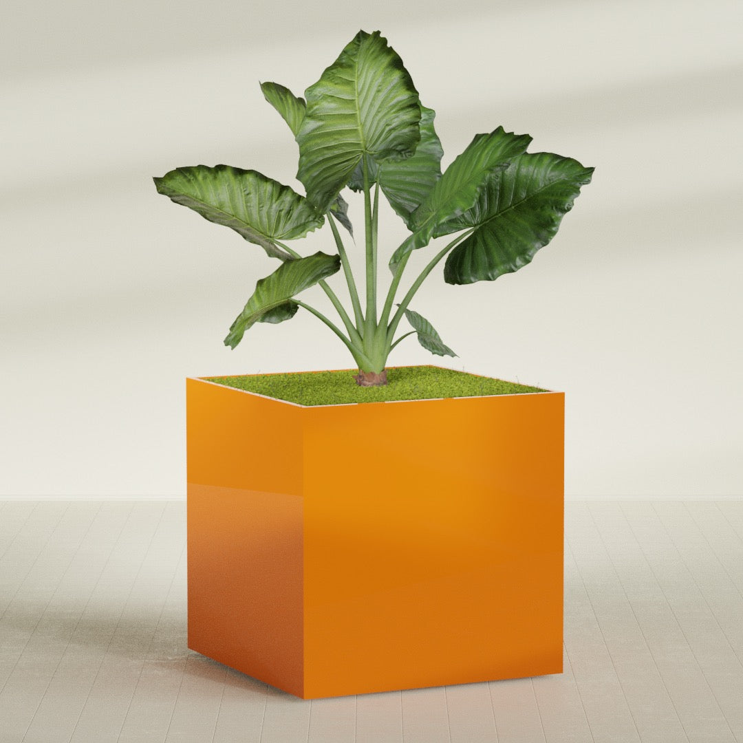 Montroy Extra Large Cube Square Fiberglass Planter - 60 in x 60 in x 60 in - Gloss Tangerine - Gloss Tangerine,60 in x 60 in x 60 in