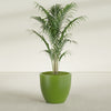 Wannsee Large Round Fiberglass Planter - 33 in x 33 in x 29 in - Satin Green - Satin Green,33 in x 33 in x 29 in