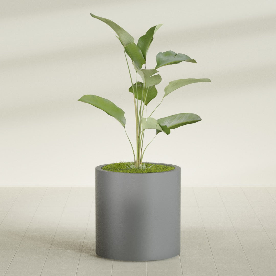 Rio Grande Medium Round Fiberglass Planter - 22 in x 22 in x 22 in - Metallic Gunmetal - Metallic Gunmetal,22 in x 22 in x 22 in