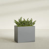 Brisbane Large Rectangle Fiberglass Planter - 36 in x 24 in x 32 in - Metallic Gunmetal - Metallic Gunmetal,36 in x 24 in x 32 in