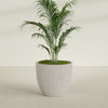 Tapered Round - 39in diam. x 34in - StoneLight - Pearlstone - StoneLight - Pearlstone,39 in x 39 in x 34 in