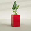 Darwin Large Tall Rectangle Fiberglass Planter - 24 in x 24 in x 42 in - Gloss Red - Gloss Red,24 in x 24 in x 42 in