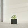Monaco Square - 7in x 7in x 7 - Matte Charcoal - Matte Charcoal,7 in x 7 in x 7 in