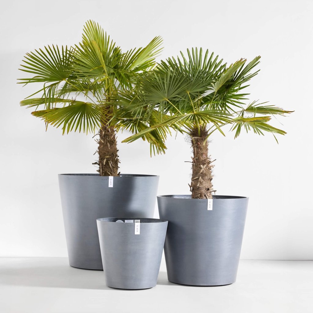 Amsterdam - 8in diam. x 7in