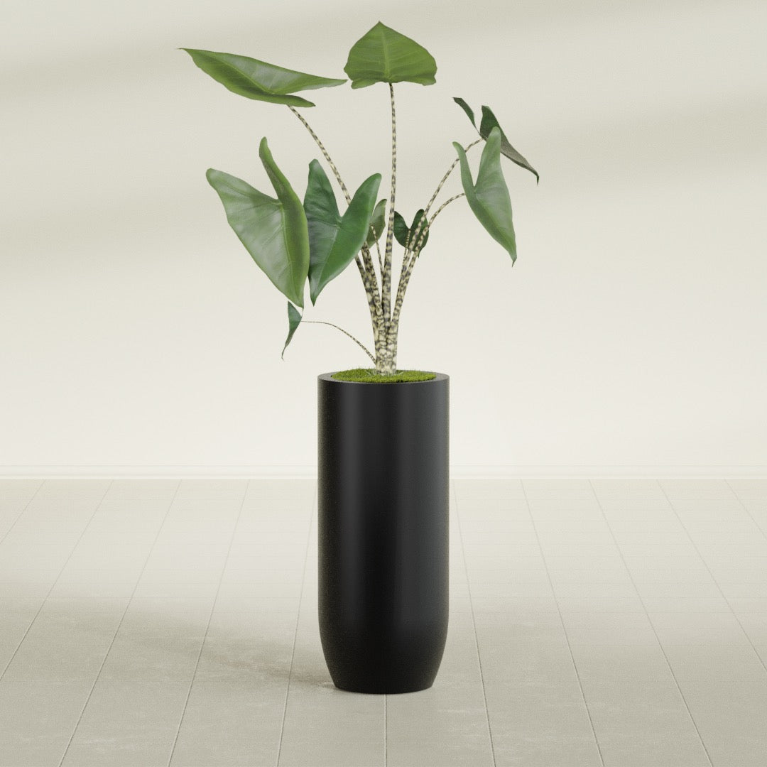 Saint Tropez Large Tall Round Fiberglass Planter - 16 in x 16 in x 38 in - Matte Black - Matte Black,16 in x 16 in x 38 in