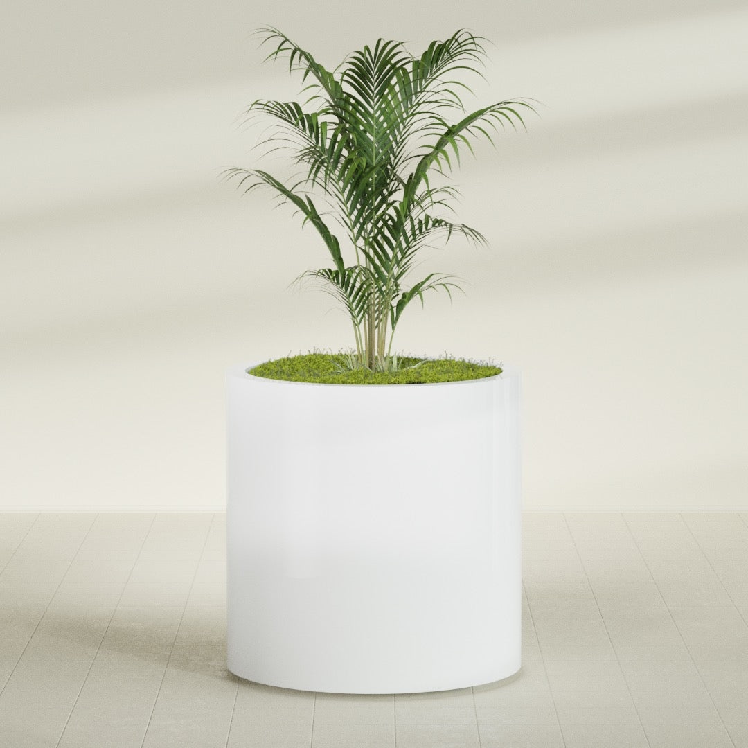 Rio Grande Large Round Fiberglass Planter - 30 in x 30 in x 32 in - Matte White - Matte White,30 in x 30 in x 32 in