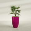 Brannan Large Round Fiberglass Planter - 24 in x 24 in x 35 in - Gloss Eggplant - Gloss Eggplant,24 in x 24 in x 35 in
