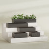 Antwerp Medium Low Rectangle Fiberglass Planter - 24 in x 24 in x 12 in - Matte Black - Matte Black,24 in x 24 in x 12 in