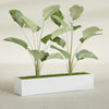 Cuba Extra Large Long Rectangle Fiberglass Planter - 60 in x 14 in x 12 in - Gloss White - Gloss White,60 in x 14 in x 12 in