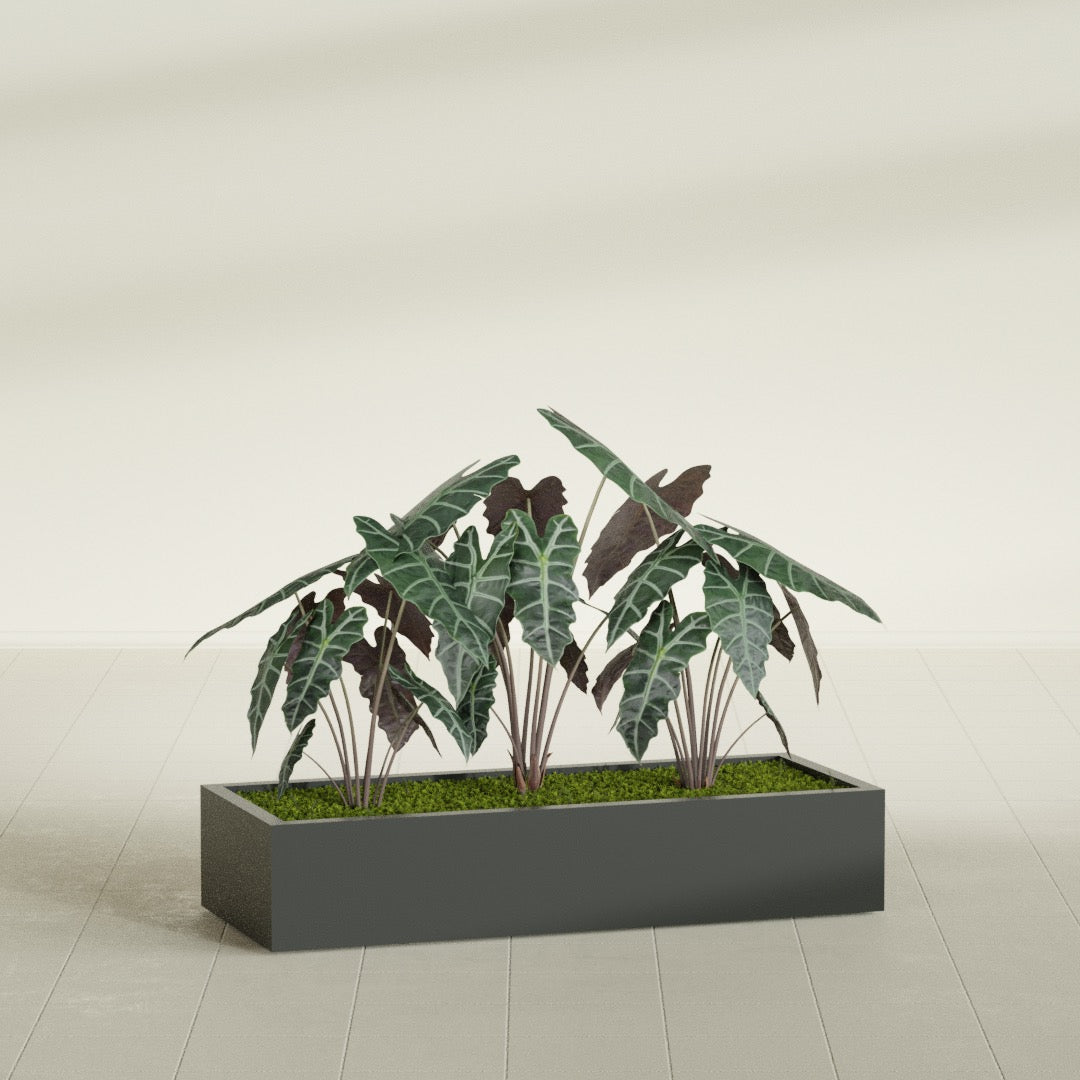 Antwerp Extra Large Long Rectangle Fiberglass Planter - 60 in x 24 in x 12 in - Matte Charcoal - Matte Charcoal,60 in x 24 in x 12 in