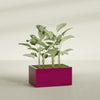 Torino Large Wide Rectangle Fiberglass Planter - 36 in x 24 in x 18 in - Gloss Eggplant - Gloss Eggplant,36 in x 24 in x 18 in