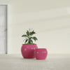 Fishbowl Small Round Fiberglass Planter - 16 in x 16 in x 14 in - Gloss Pink Violet - Gloss Pink Violet,16 in x 16 in x 14 in