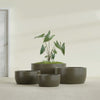 Casablanca Large Round Low Bowl Fiberglass Planter - 36 in x 36 in x 18 in - Matte Bronze - Matte Bronze,36 in x 36 in x 18 in