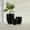Valencia Large Round Fiberglass Planter - 27 in x 27 in x 31 in - Gloss Black - Gloss Black,27 in x 27 in x 31 in