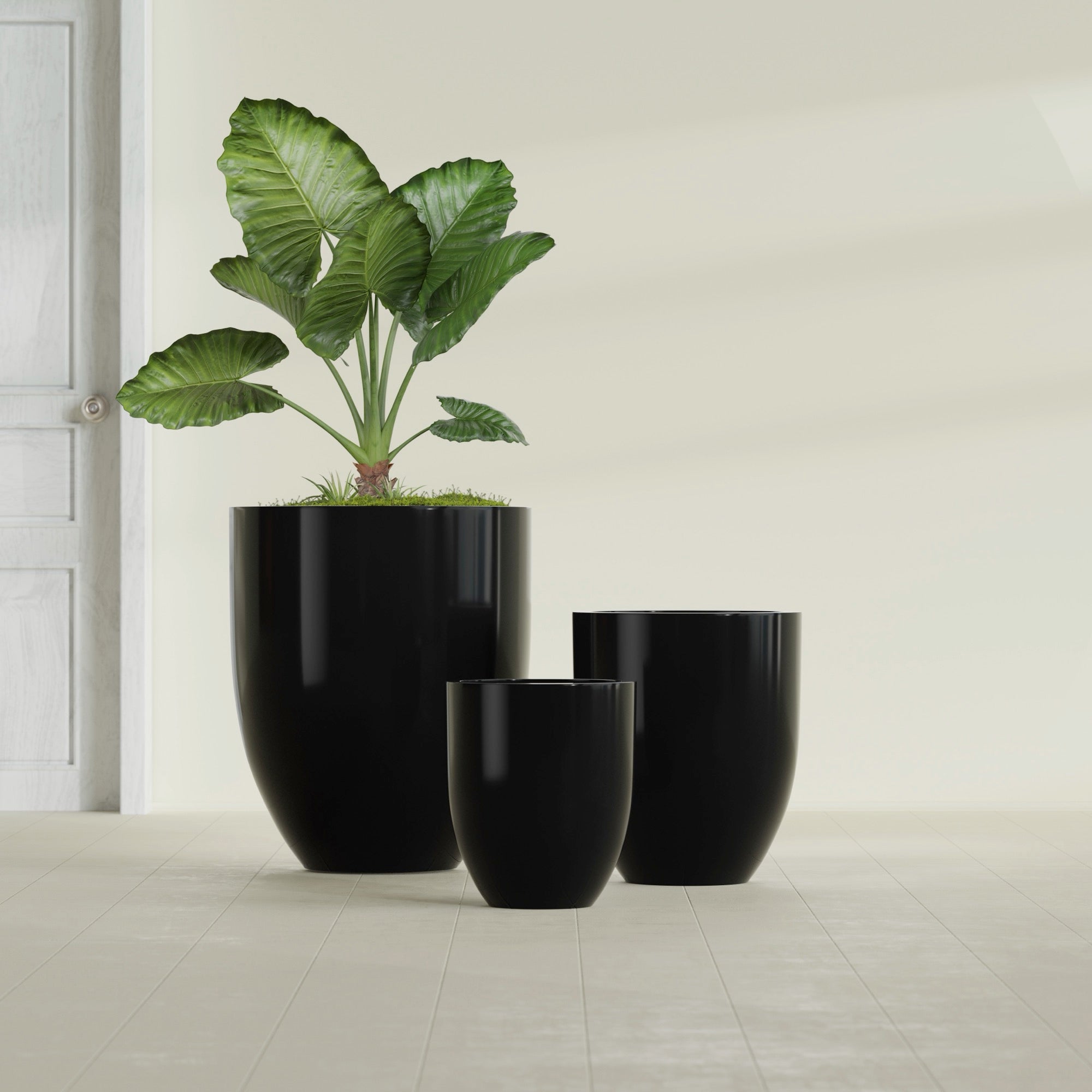Valencia Large Round Fiberglass Planter - 27 in x 27 in x 31 in - Gloss Black - Gloss Black,27 in x 27 in x 31 in