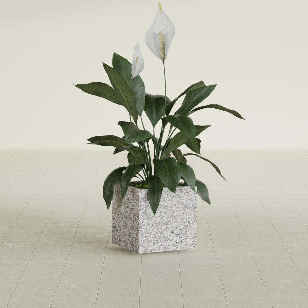 Cube - 16in x 16in x 16in - StoneLight - Greystone - StoneLight - Greystone,16 in x 16 in x 16 in