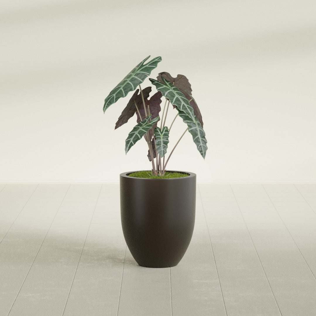 Valencia Small Round Fiberglass Planter - 15 in x 15 in x 18 in - Matte Brown - Matte Brown,15 in x 15 in x 18 in