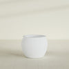 Fishbowl Medium Round Fiberglass Planter - 21.5 in x 21.5 in x 19 in - Gloss White - Gloss White,21.5 in x 21.5 in x 19 in