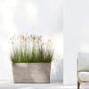 Paris Large Rectangle Planter - 31.5 in x 15 in x 15.75 in - Taupe - Taupe,31.5 in x 15 in x 15.75 in