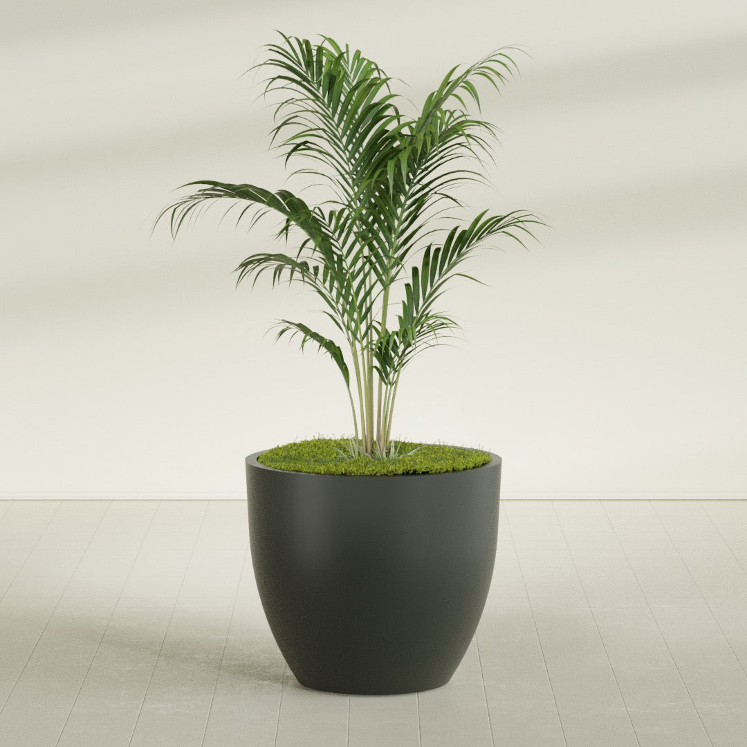 Wannsee Large Round Fiberglass Planter - 44 in x 44 in x 39 in - Matte Charcoal - Matte Charcoal,44 in x 44 in x 39 in