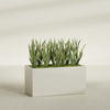 Granada Extra Large Long Rectangle Fiberglass Planter - 48 in x 24 in x 24 in - Satin Beige - Satin Beige,48 in x 24 in x 24 in