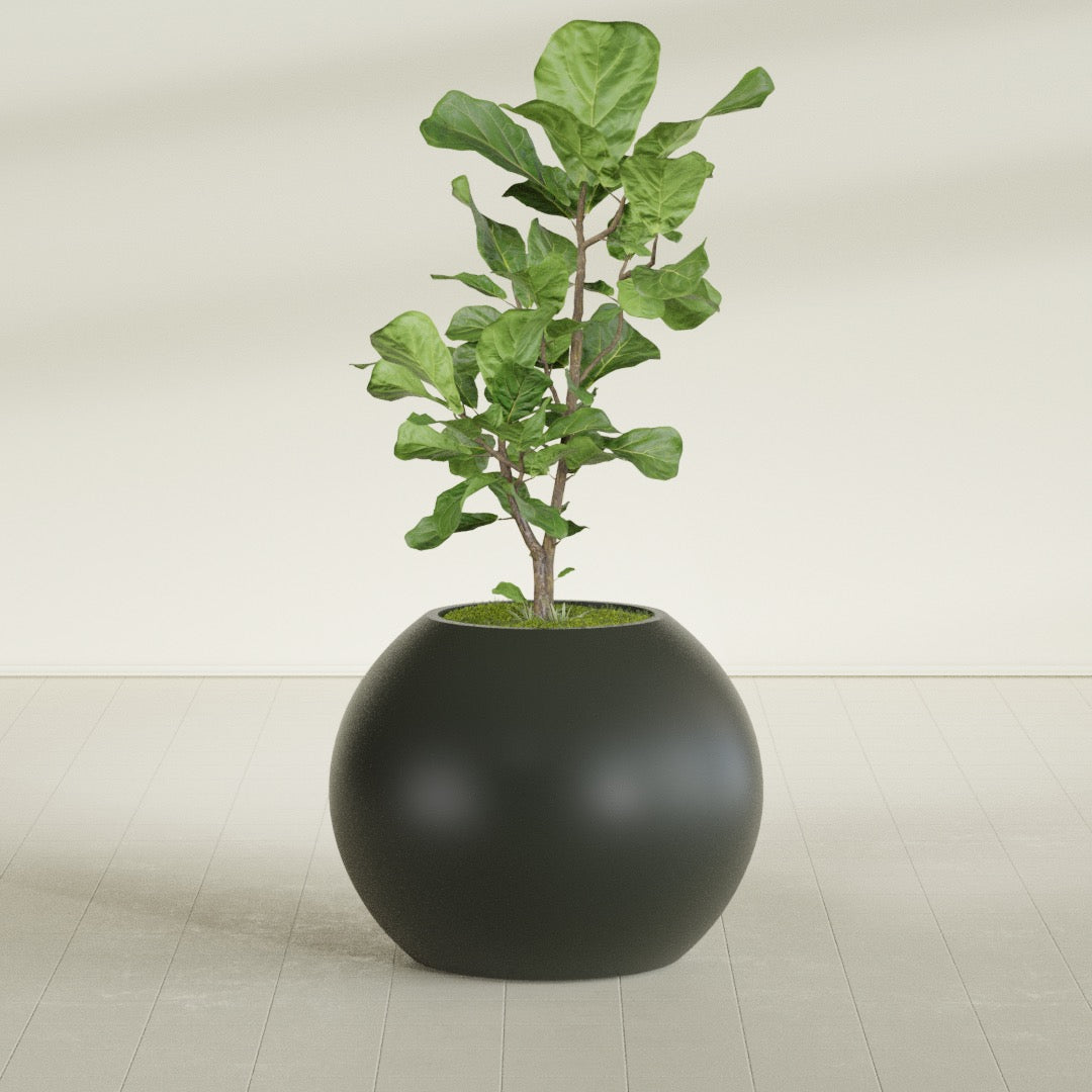 Globe Large Sphere Fiberglass Planter - 30 in x 30 in x 24 in - Matte Charcoal - Matte Charcoal,30 in x 30 in x 24 in