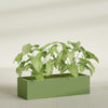 Reade Small Tabletop Rectangle Fiberglass Planter - 18 in x 6.5 in x 5 in - Satin Green - Satin Green,18.5 in x 6.5 in x 5 in