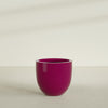 Alzira Large Round Fiberglass Planter - 30 in x 30 in x 28 in - Gloss Eggplant - Gloss Eggplant,30 in x 30 in x 28 in
